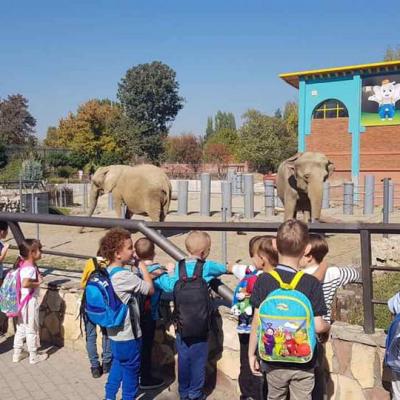 We Went To See The Animals In The Zoo 2