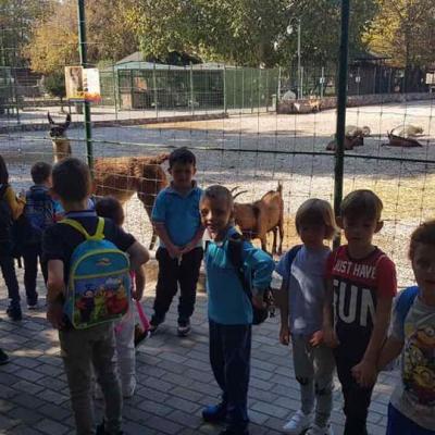 We Went To See The Animals In The Zoo 3