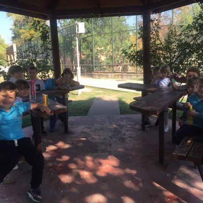 We Went To See The Animals In The Zoo 4